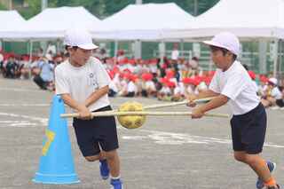 IMG_7646.jpg