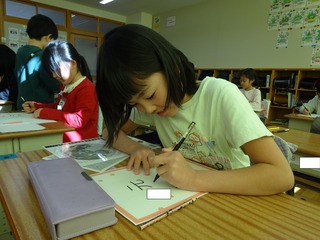 DSC01401.jpg