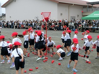 CIMG0420.jpg